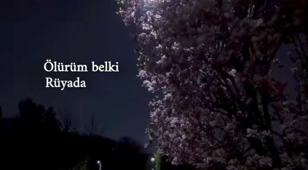  اولوروم بلکی رویادا بوغولوروم بیر دریادا